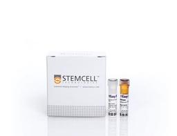 EasySep™ Human Pan-ILC Enrichment Kit - STEMCELL Technologies Inc. - Life Sciences