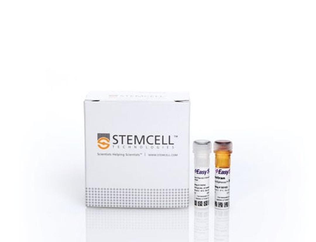 EasySep™ Human Pan-ILC Enrichment Kit - STEMCELL Technologies Inc. - Life Sciences