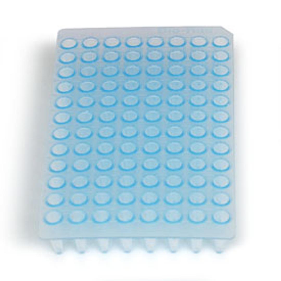 Multiplate™ 96-Well PCR Plates, high profile, unskirted, blue - Bio-Rad - Life Sciences