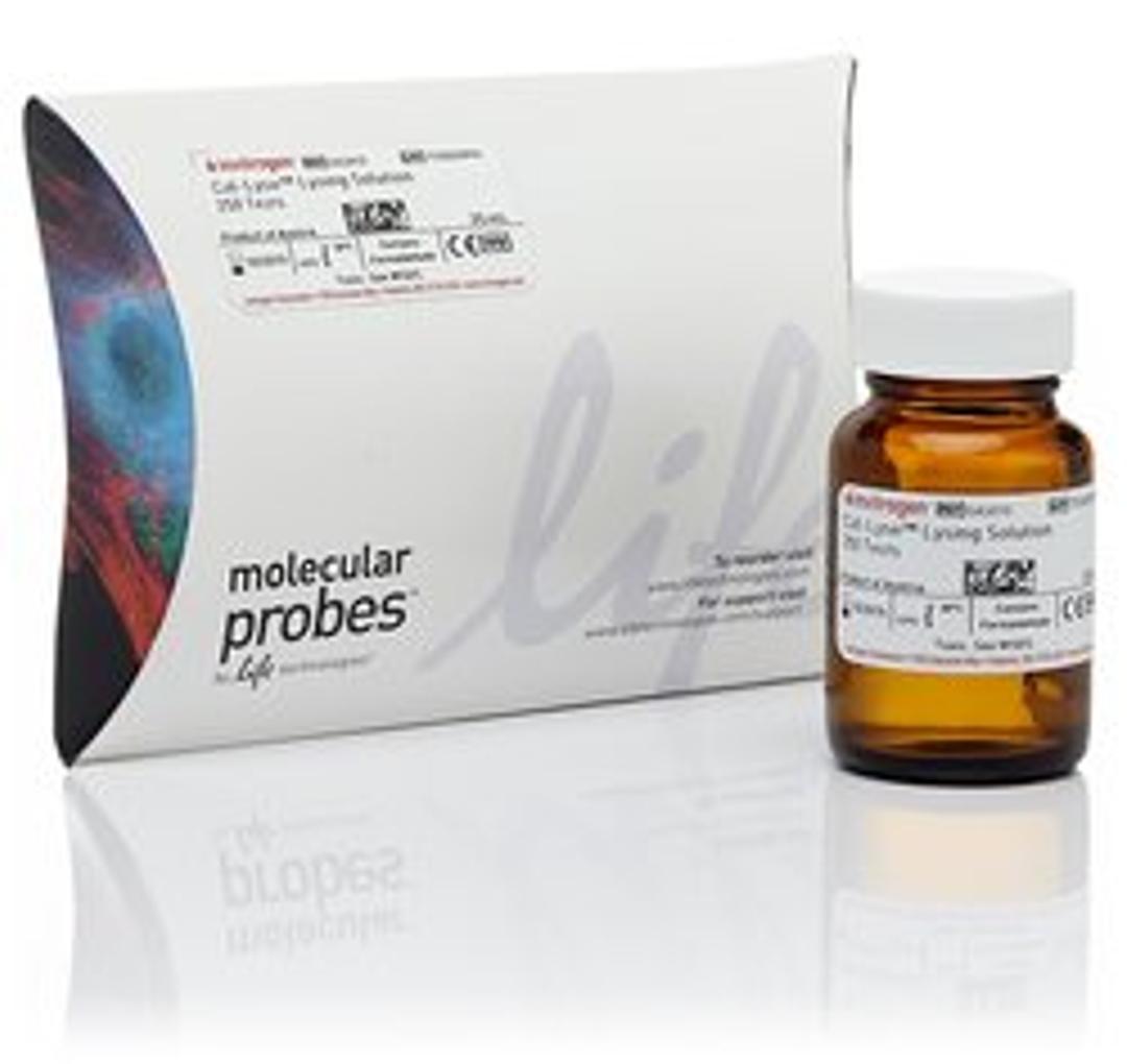 Invitrogen™ Cal-Lyse™ Whole Blood Lysing Solution - Thermo Fisher Scientific - Life Sciences