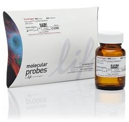 Invitrogen™ Cal-Lyse™ Whole Blood Lysing Solution - Thermo Fisher Scientific - Life Sciences