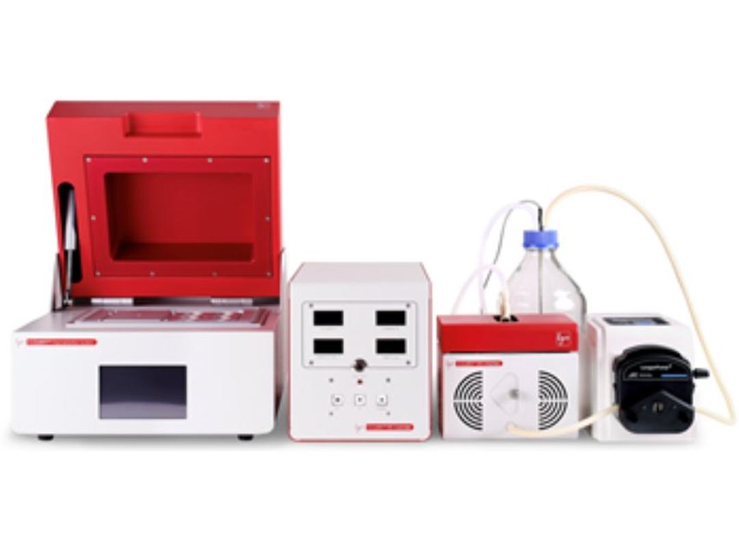 X-CLARITY™ Tissue Clearing Systems and Reagents - Logos Biosystems - Life Sciences