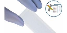 PEPperCHIP® Custom Peptide Microarray - PEPperPRINT GmbH - Life Sciences