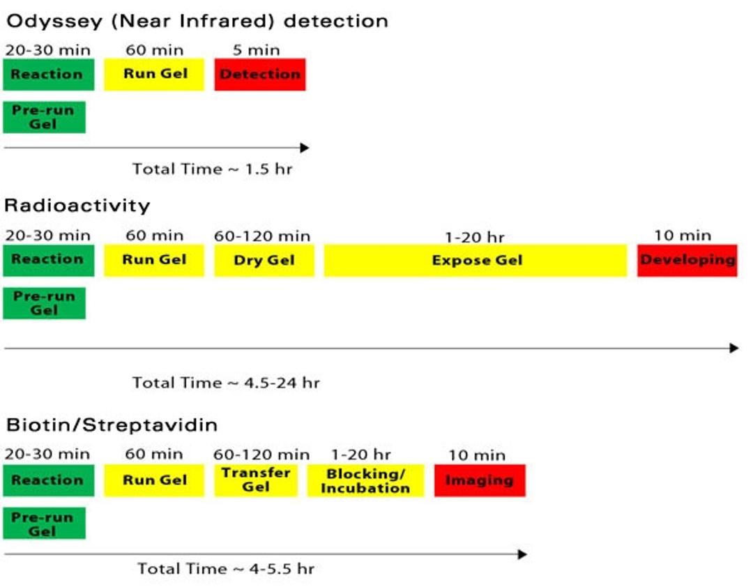 Odyssey EMSA Buffer Kit - LICORbio - Life Sciences