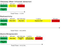 Odyssey EMSA Buffer Kit - LICORbio - Life Sciences