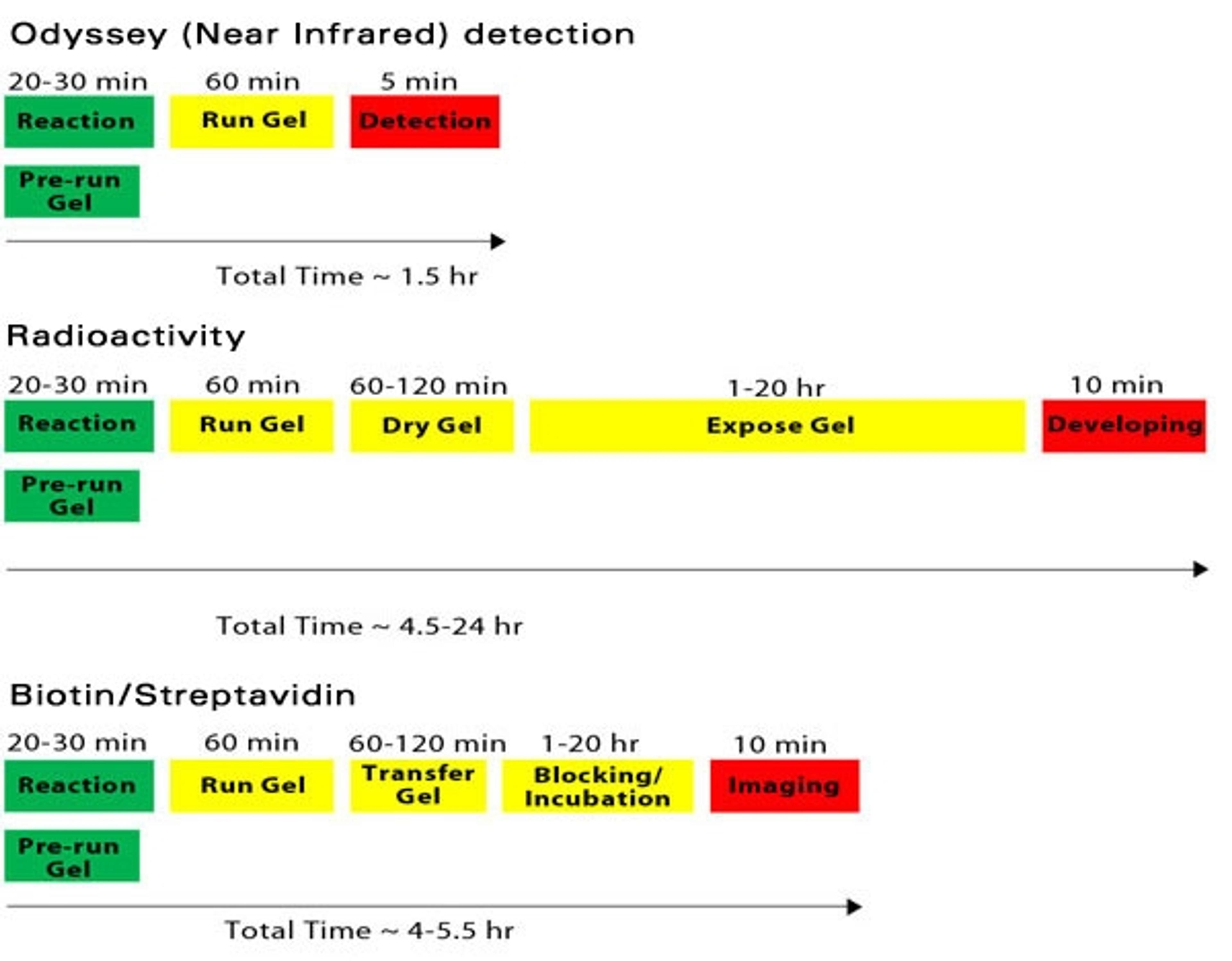 Odyssey EMSA Buffer Kit - LICORbio - Life Sciences