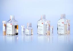 PromoExQ Portfolio - PromoCell GmbH - Life Sciences