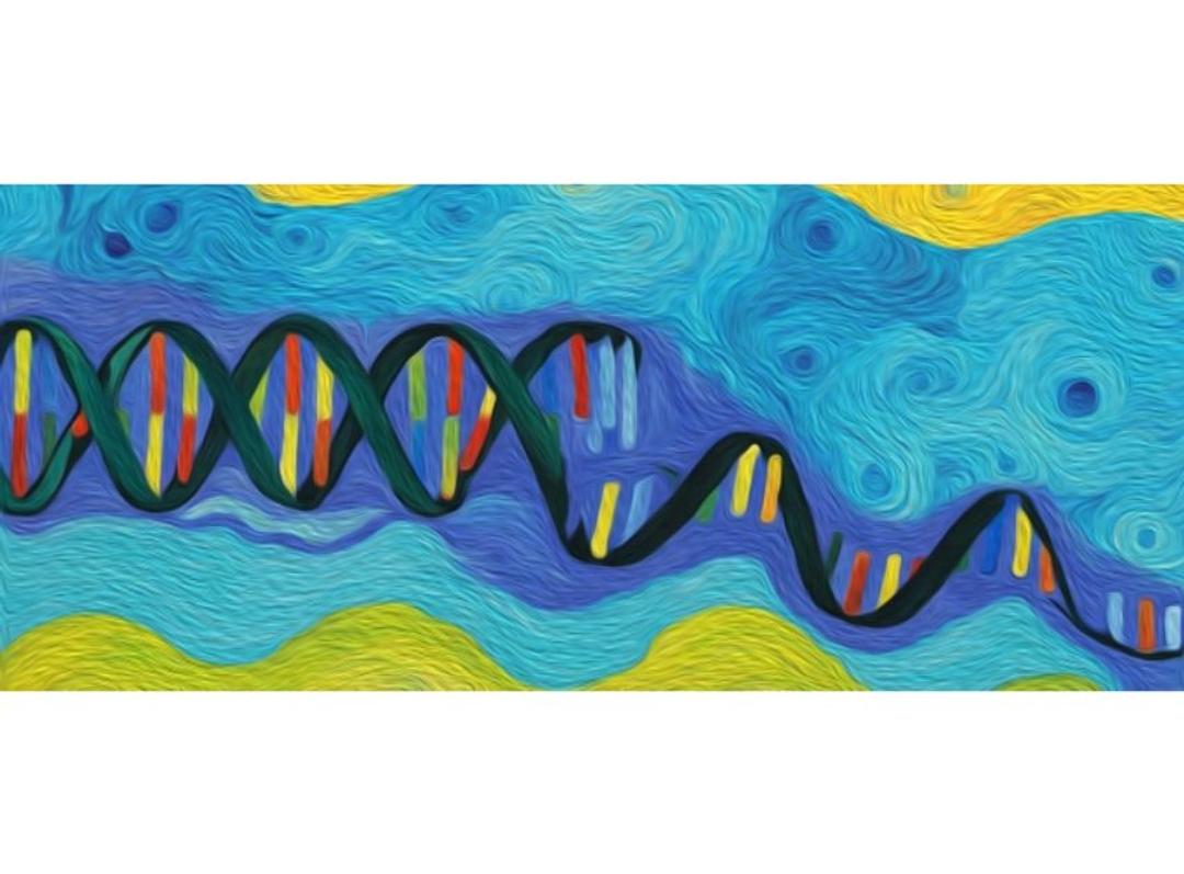 Endonucleases Non-Specific, HL-SAN - ArcticZymes - Life Sciences