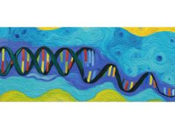 Endonucleases Non-Specific, HL-SAN - ArcticZymes - Life Sciences