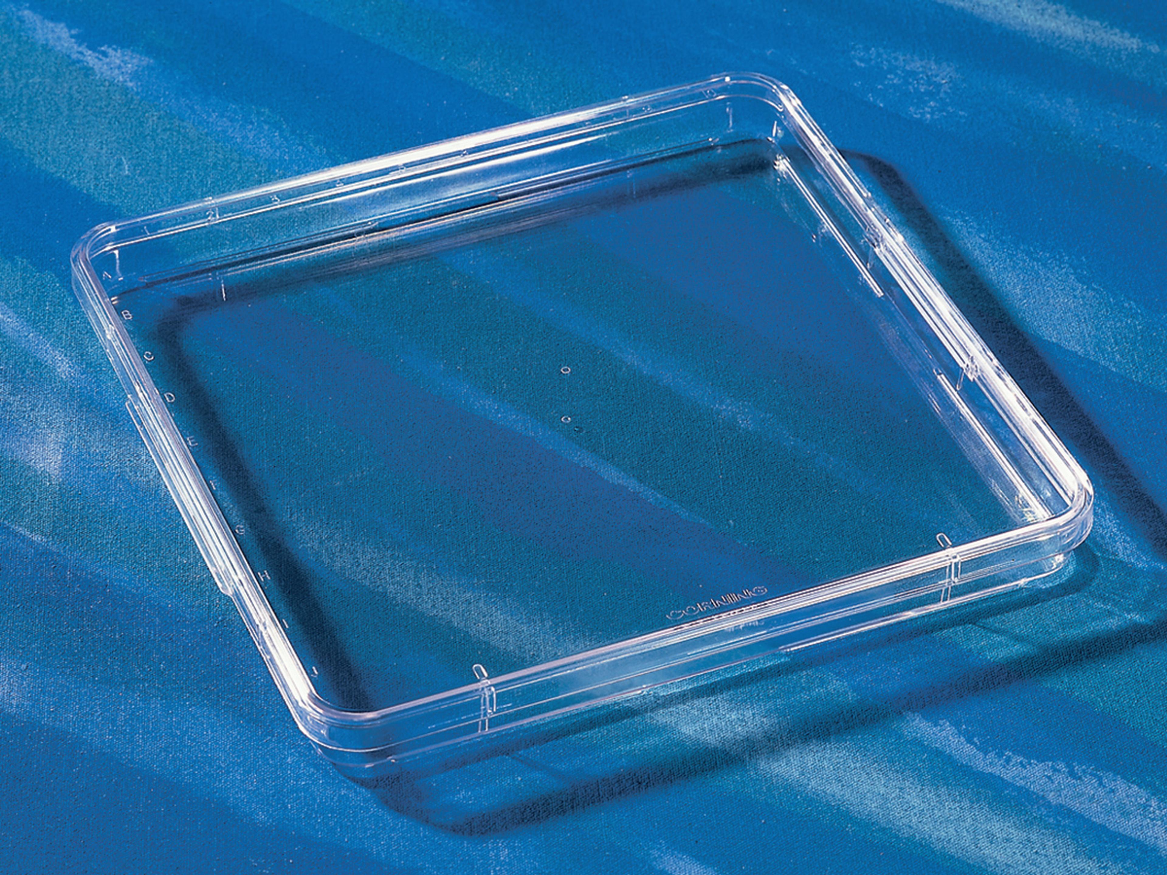 Corning® 245 mm Square Low Profile BioAssay Dish without Handles, not TC-treated - Corning Life Sciences