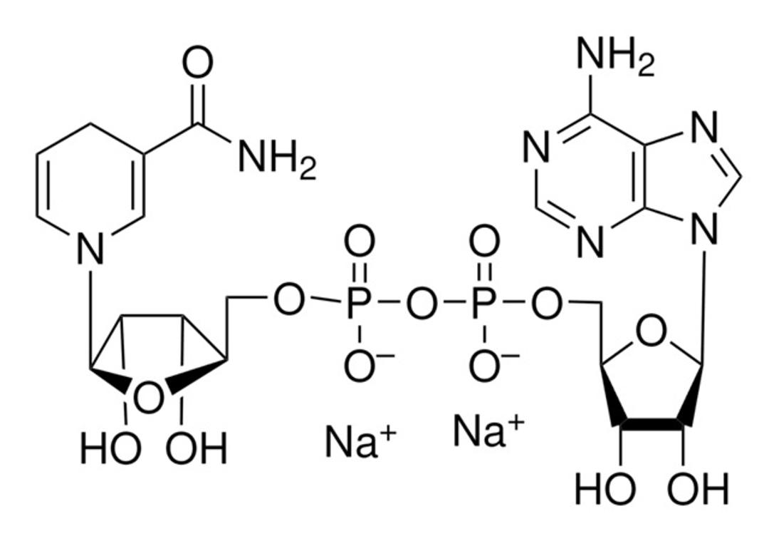 NADH, Disodium Salt - Merck - Drug Discovery & Development