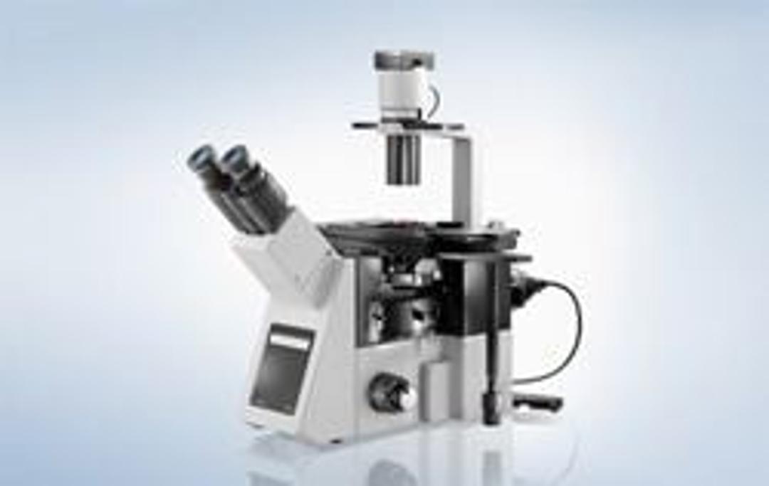 IX53 - Inverted Microscope System - EVIDENT - Life Sciences