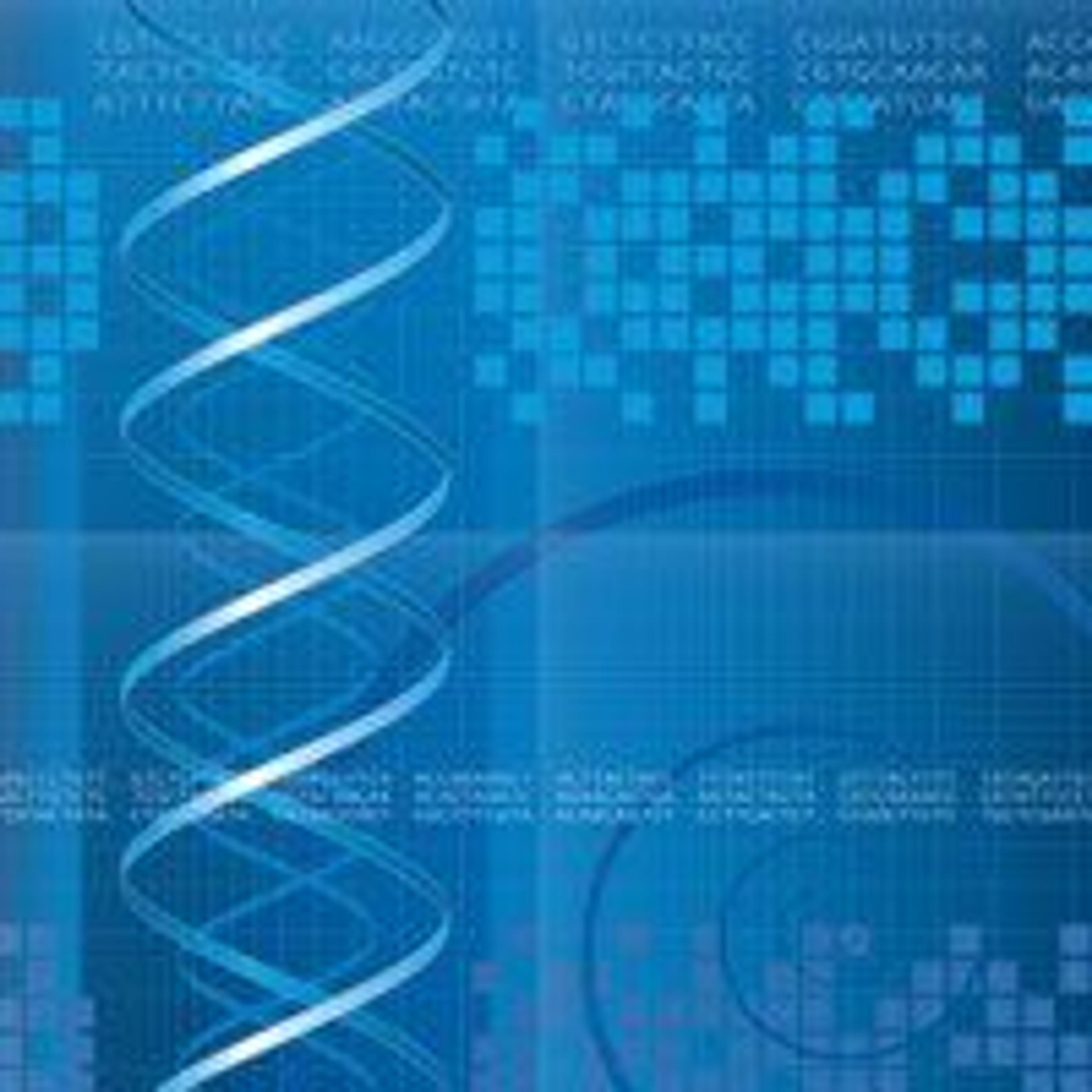 Nexterion® Multi-well formats - SCHOTT Technical Glass Solutions GmbH - Clinical Diagnostics
