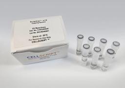ScriptCap™ m⁷G Capping System - CELLSCRIPT™ - Life Sciences