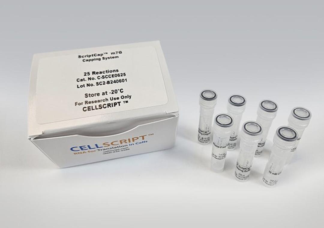 ScriptCap™ m⁷G Capping System - CELLSCRIPT™ - Life Sciences