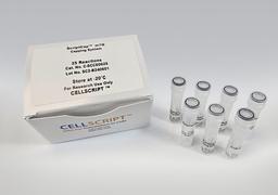 ScriptCap™ m⁷G Capping System - CELLSCRIPT™ - Life Sciences