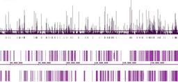 FactorPath ChIP-Seq Services - Active Motif - Life Sciences