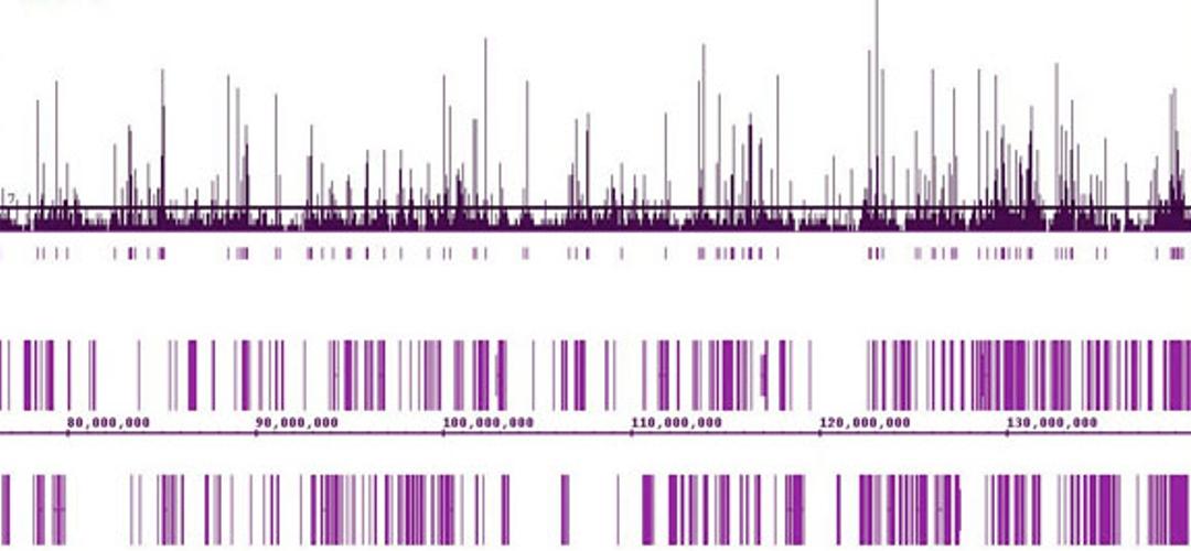 FactorPath ChIP-Seq Services - Active Motif - Life Sciences
