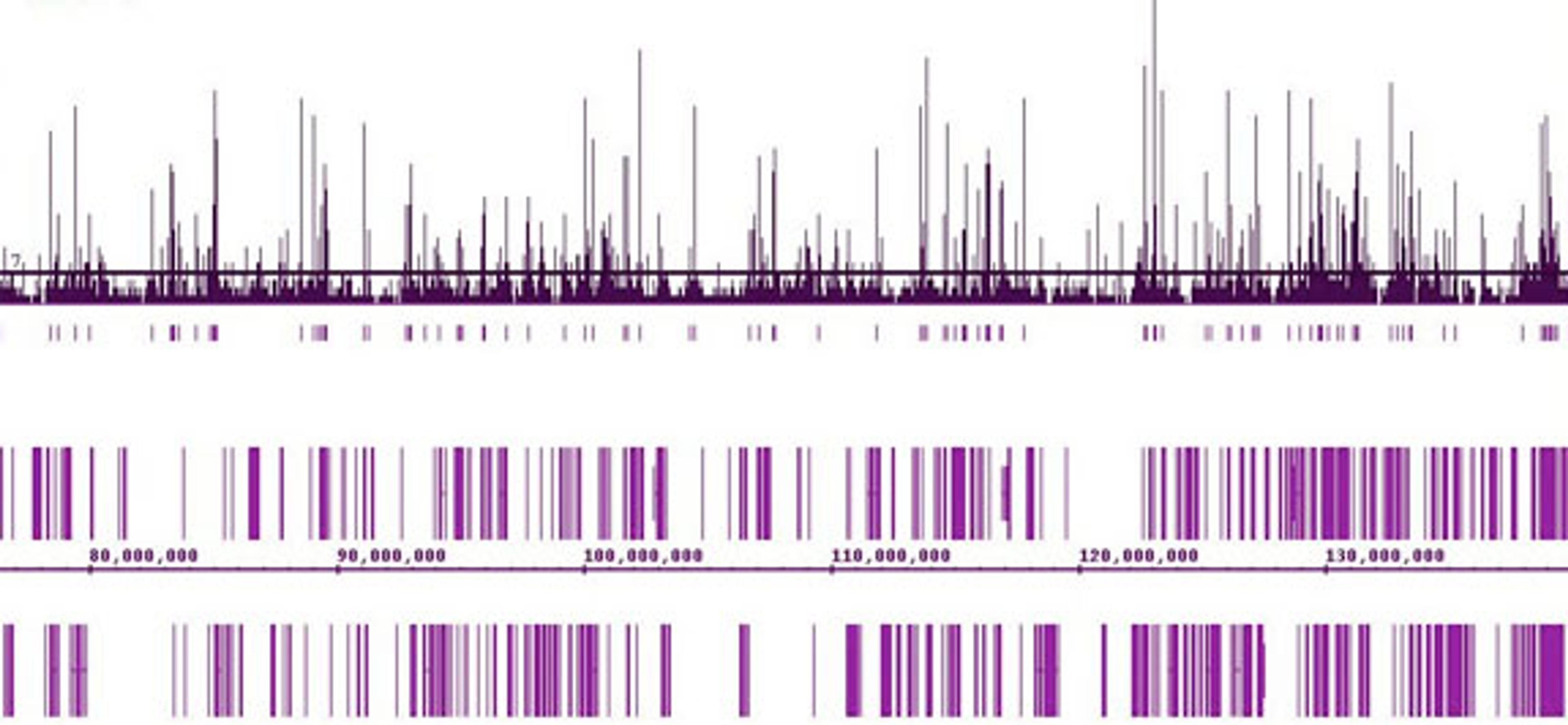 FactorPath ChIP-Seq Services - Active Motif - Life Sciences