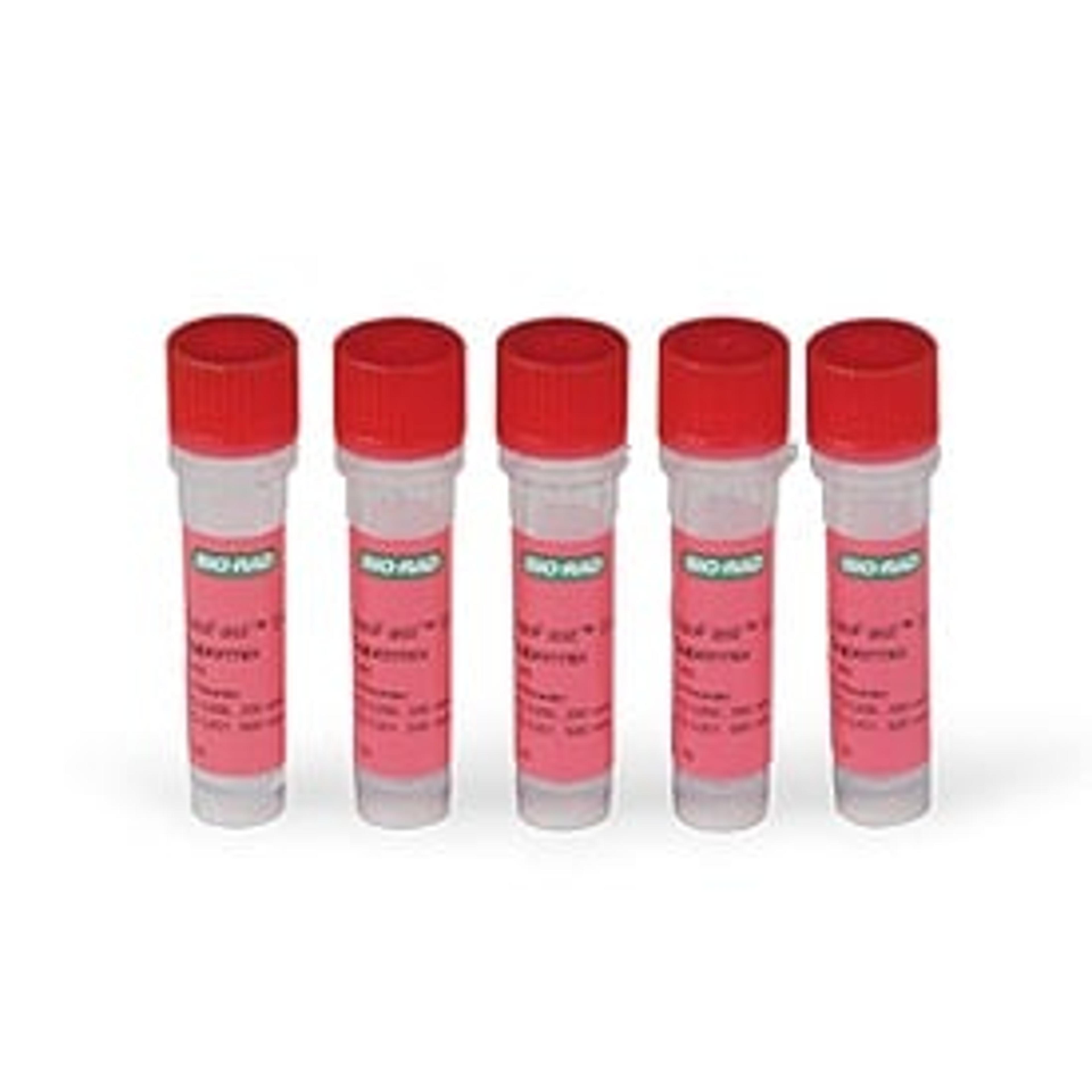 SsoFast™ EvaGreen® Supermix, 500 x 20 µl rxns, 5 ml (5 x 1 ml) - Bio-Rad - Life Sciences