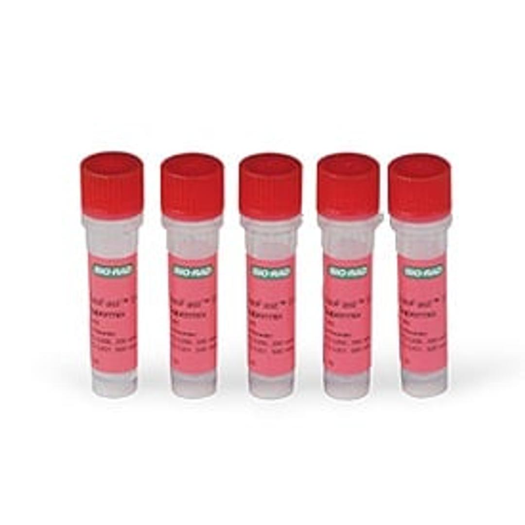 SsoFast™ EvaGreen® Supermix, 500 x 20 µl rxns, 5 ml (5 x 1 ml) - Bio-Rad - Life Sciences