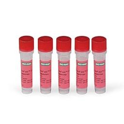 SsoFast™ EvaGreen® Supermix, 500 x 20 µl rxns, 5 ml (5 x 1 ml) - Bio-Rad - Life Sciences