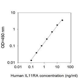 Human IL11RA ELISA - RayBiotech Inc. - Life Sciences