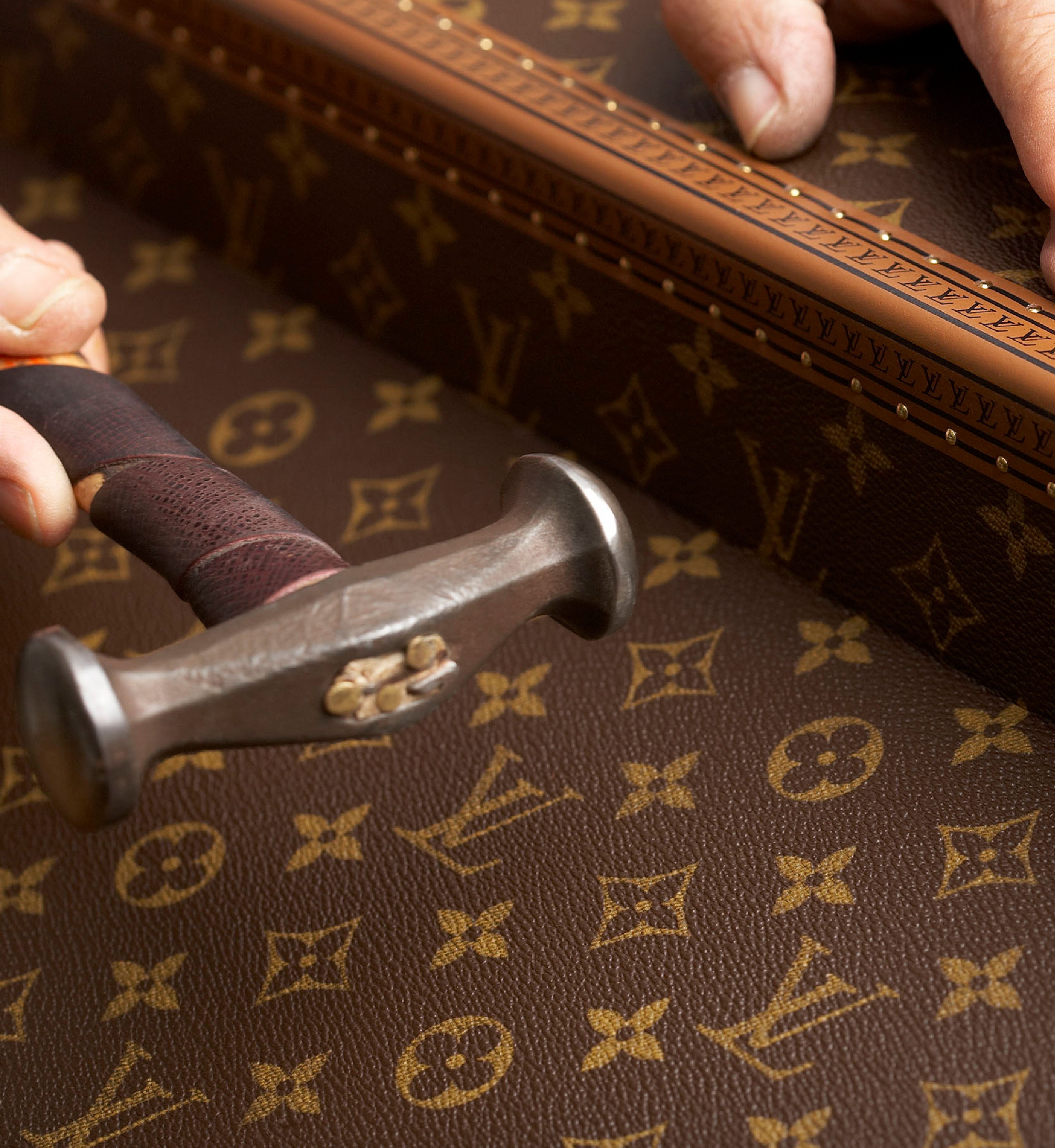 Louis Vuitton case