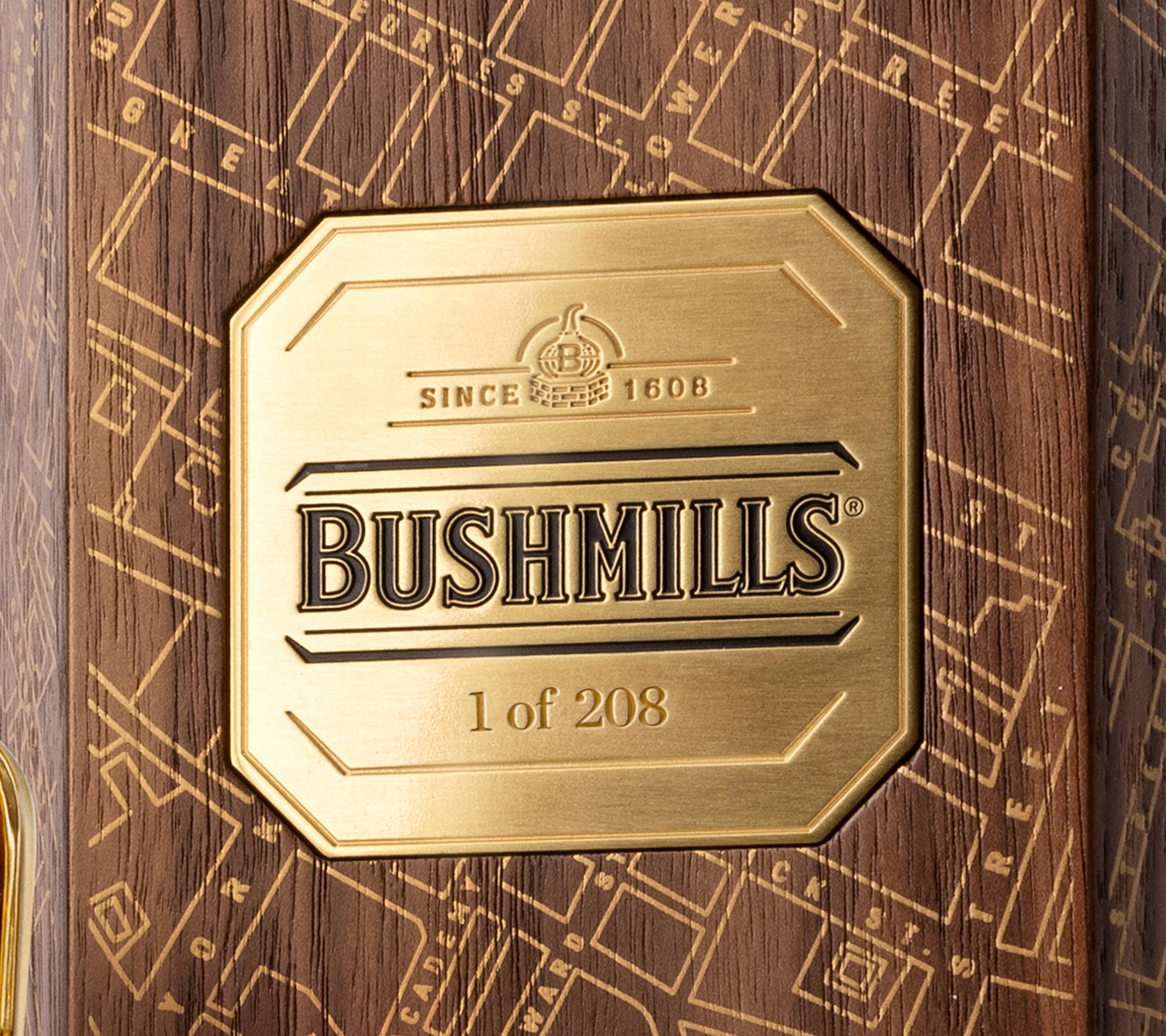 Bushmills bottle with case