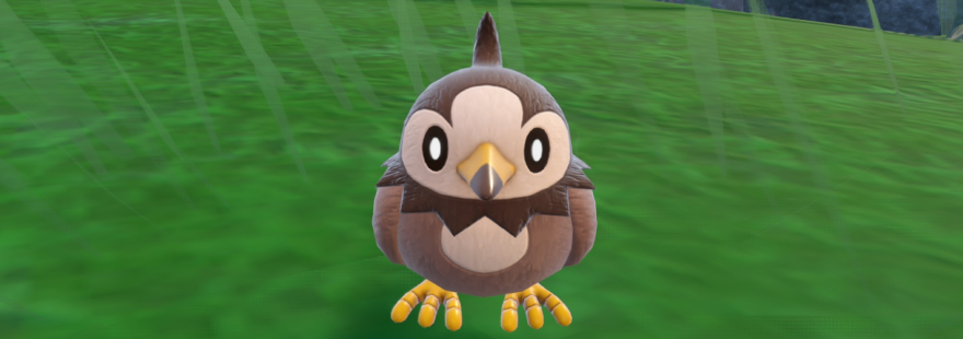 A guide to shiny hunting Starly in Pokémon Scarlet & Violet (Teal Mask DLC) including the best location and sandwich recipes. 