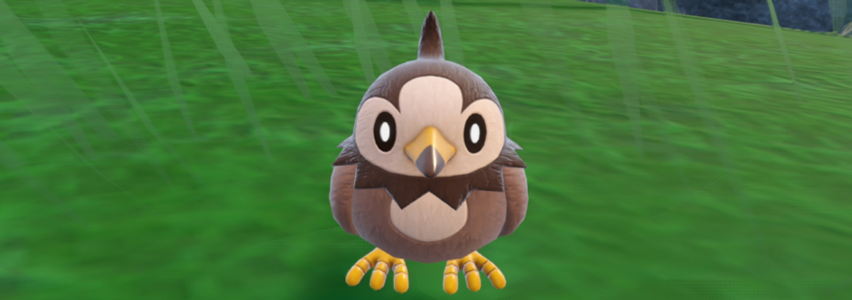 A guide to shiny hunting Starly in Pokémon Scarlet & Violet (Teal Mask DLC) including the best location and sandwich recipes. 