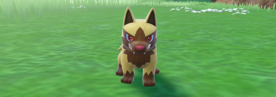 The best guide on shiny hunting Poochyena in the Pokémon Scarlet & Violet Teal Mask DLC.