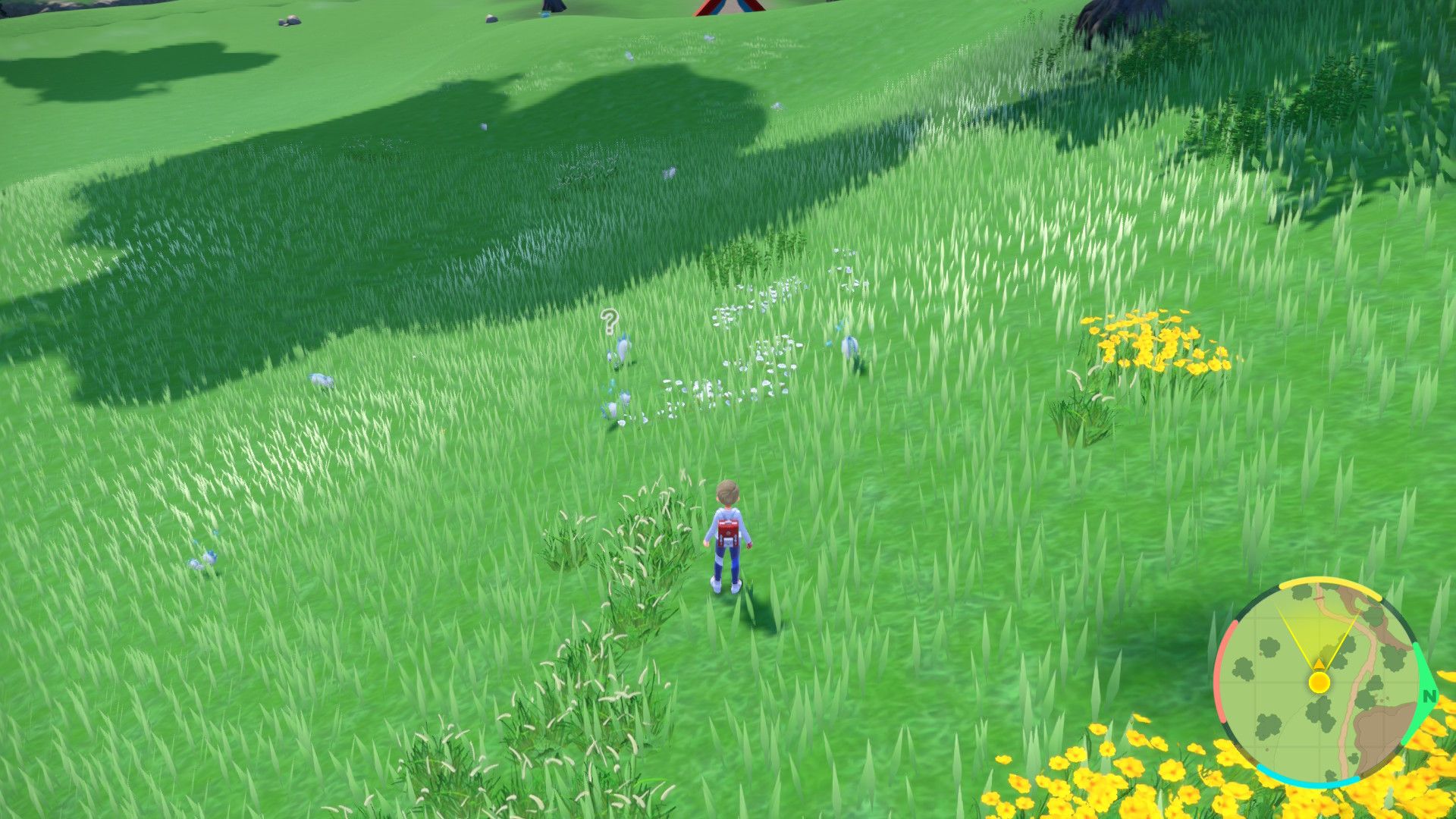 Pachirisu Spawns