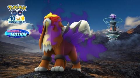 Entei Shadow Raid Day