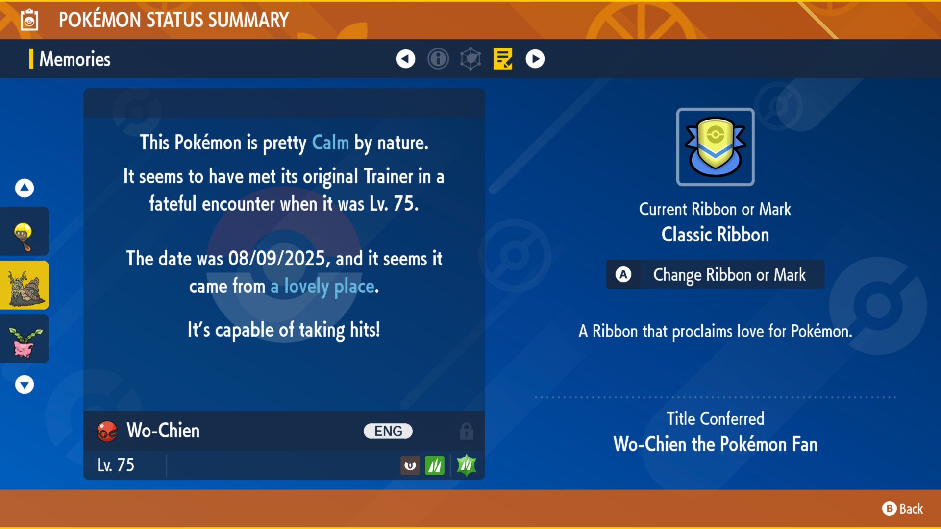 Classic Ribbon