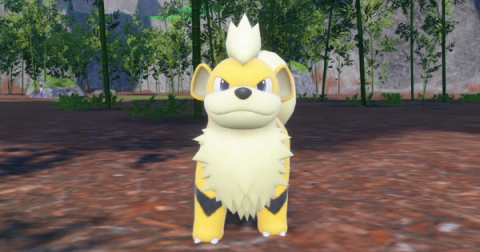 Growlithe Shiny Hunting Guide (Pokémon Scarlet & Violet)
