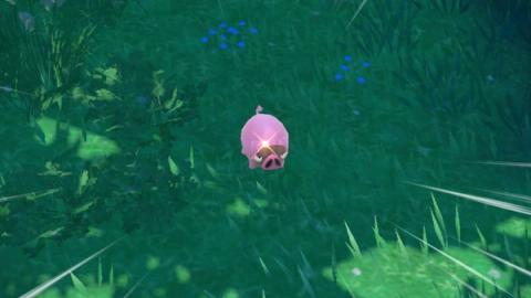 Lechonk Shiny Hunting Guide (Pokémon Scarlet & Violet)