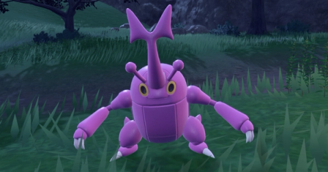 Heracross Shiny Hunting Guide (Teal Mask DLC)