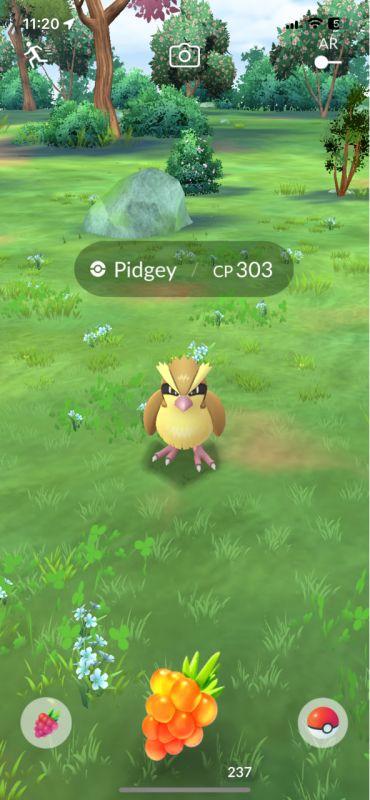 Golden Razz Berry in Pokémon Go