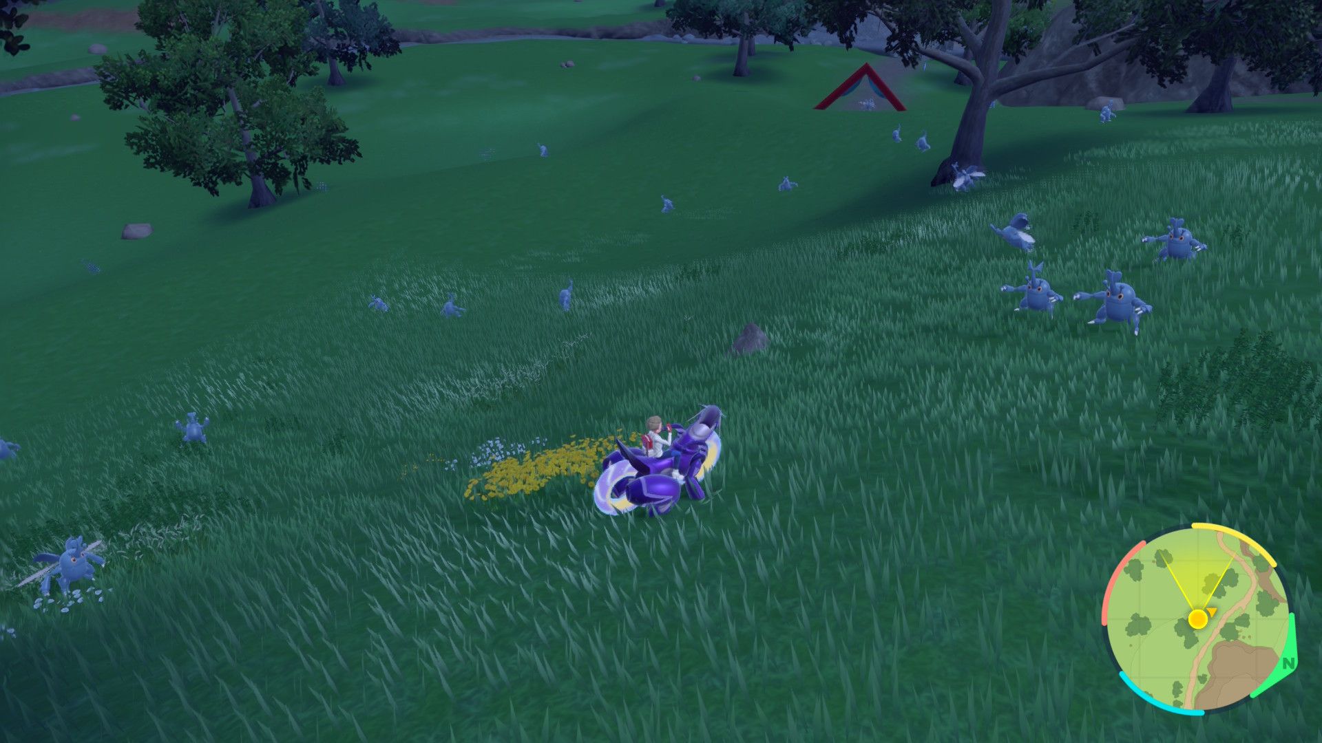 Heracross Spawns