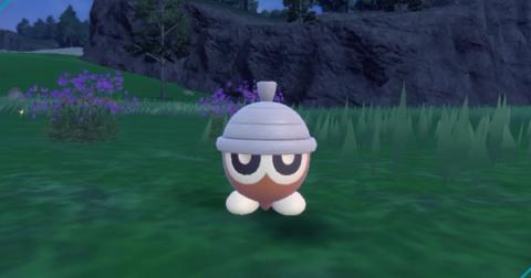 Seedot Shiny Hunting Guide (Teal Mask DLC)