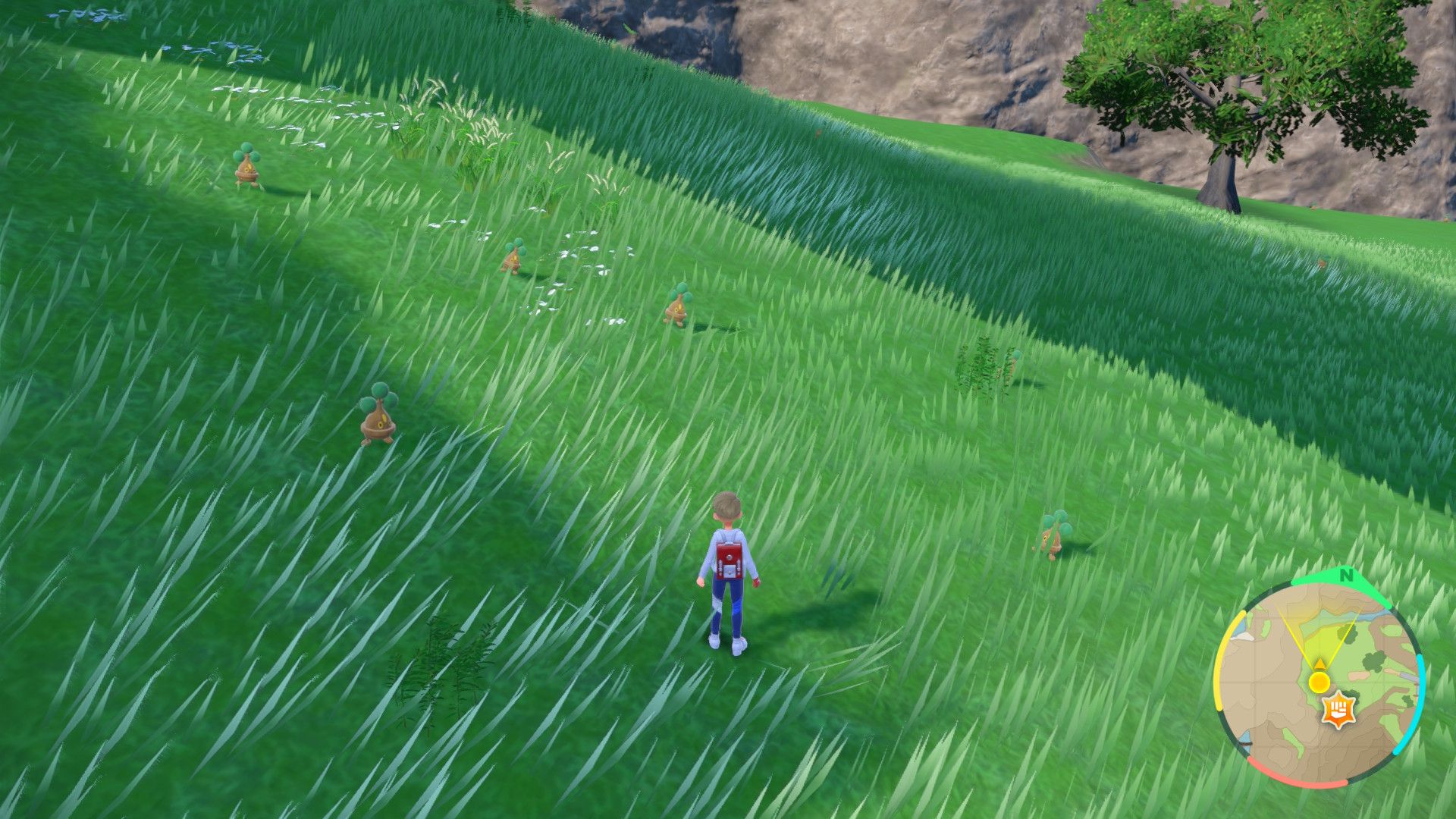 Bonsly Spawns