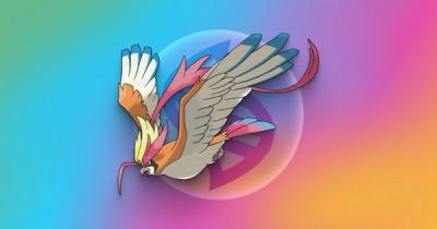 Mega Pidgeot in Mega Raids