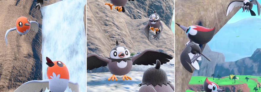 Fletchling, Starly, and Pikipek are appearing in Mass Outbreaks in Pokémon Scarlet & Violet!