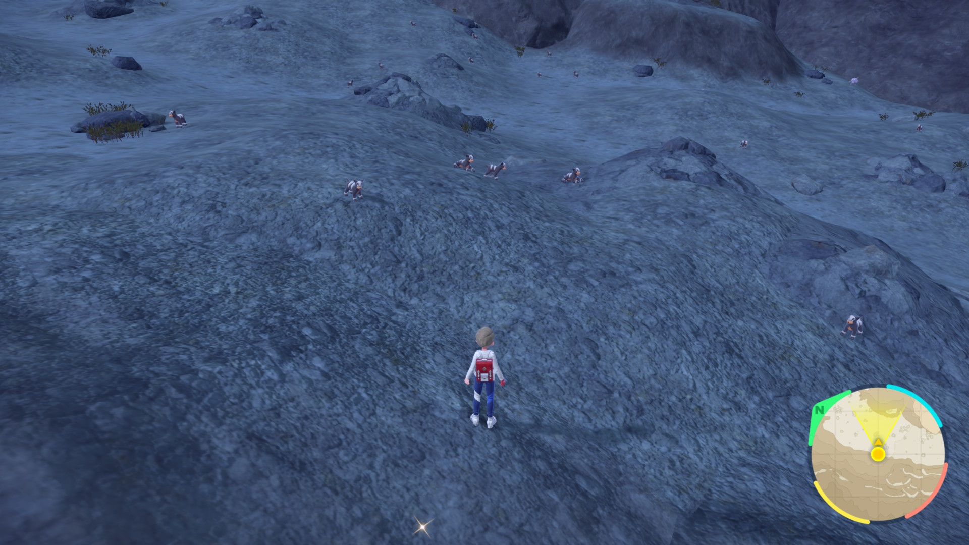 Houndour Spawns