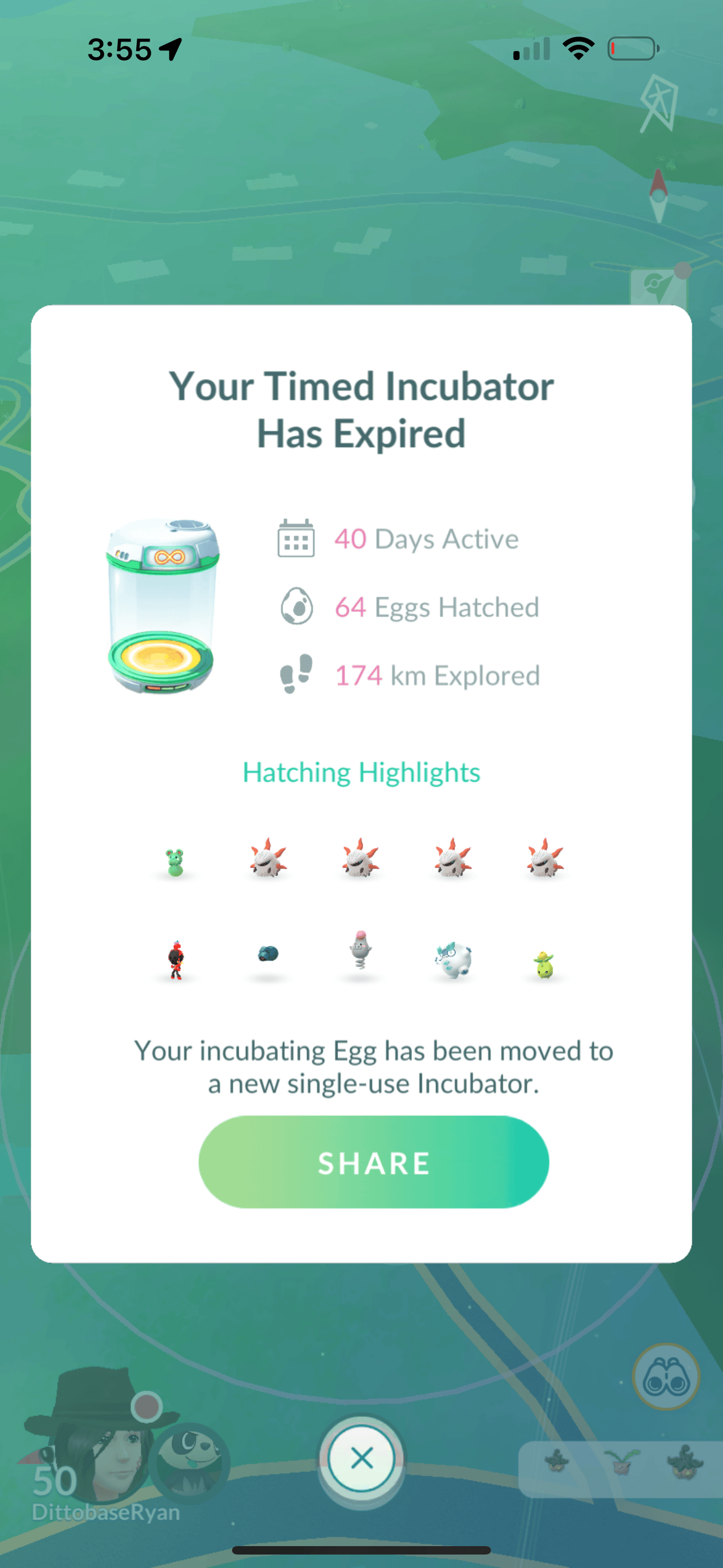 Timed Incuabtors give trainers a detailed recap after they expire.