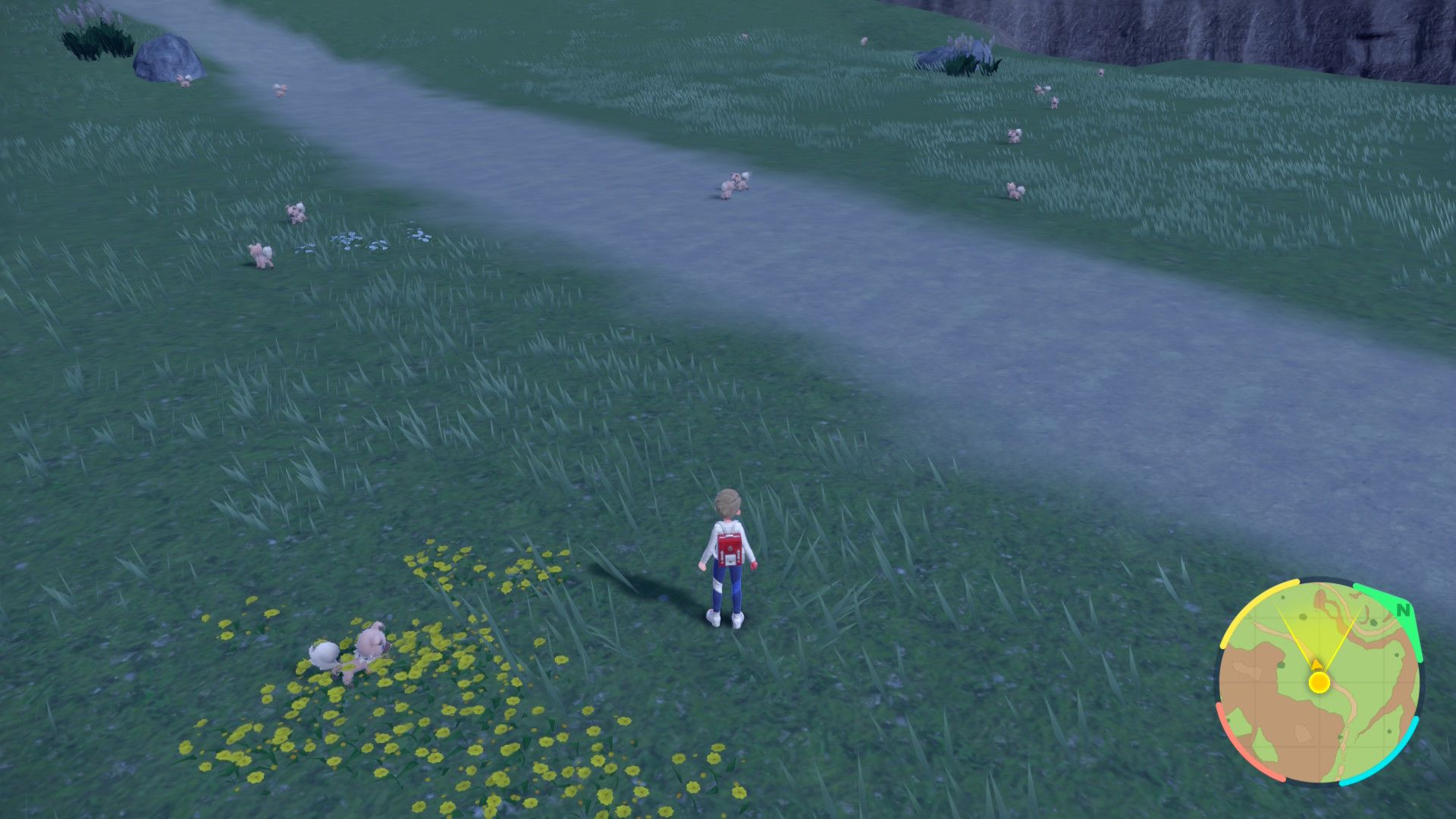 Rockruff Spawns