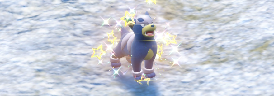 The best guide on shiny hunting Houndour in the Pokémon Scarlet & Violet Teal Mask DLC. 