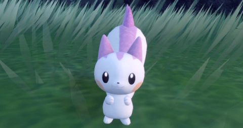Pachirisu Shiny Hunting Guide (Teal Mask DLC)