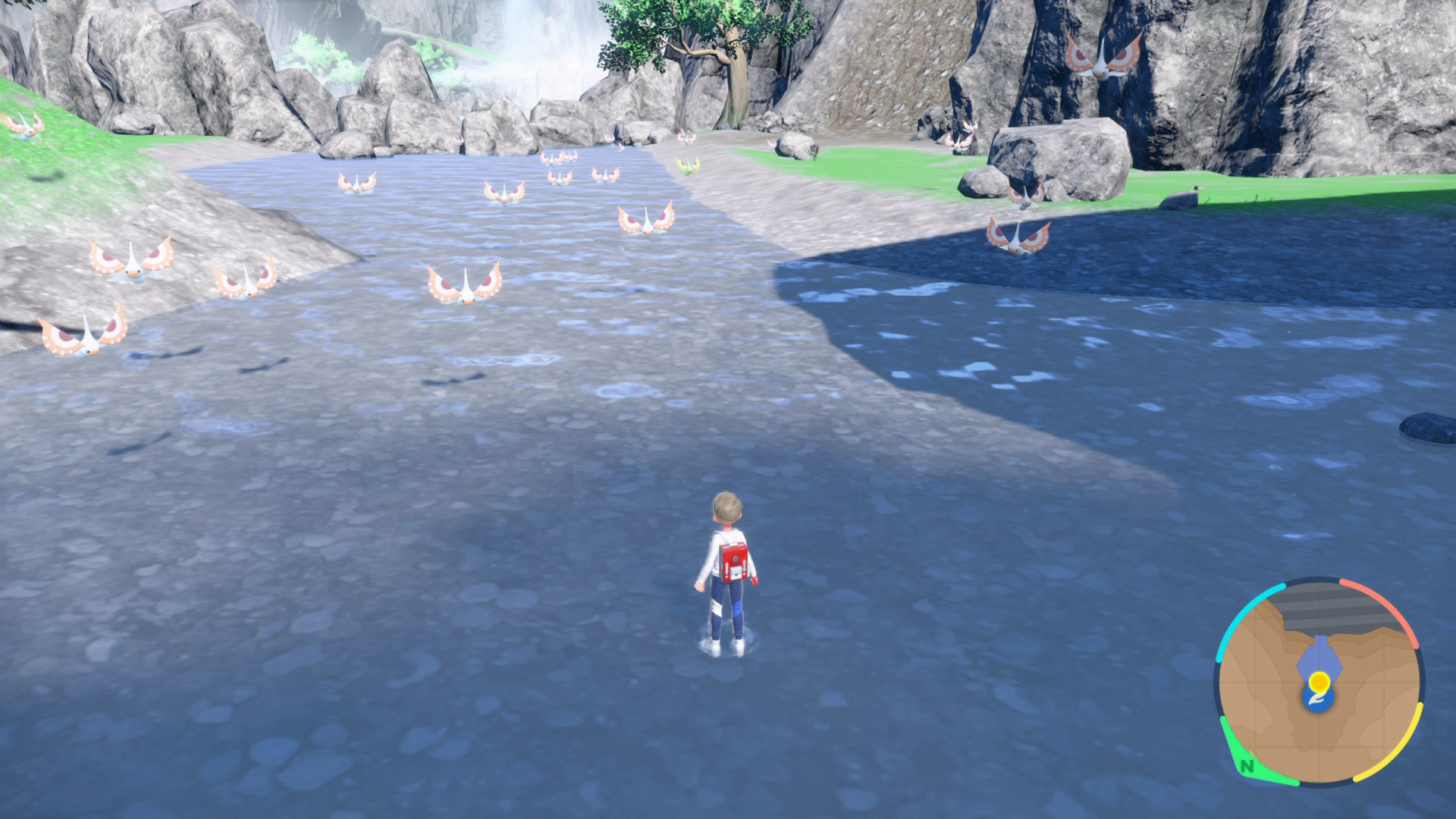 Masquerain Spawns